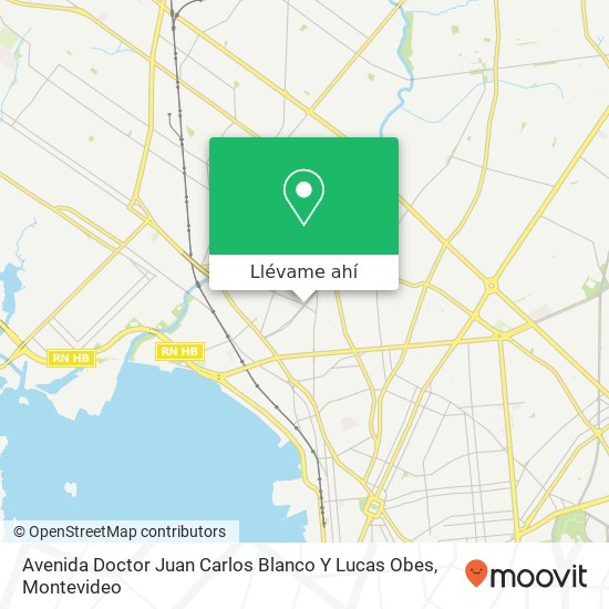 Mapa de Avenida Doctor Juan Carlos Blanco Y Lucas Obes