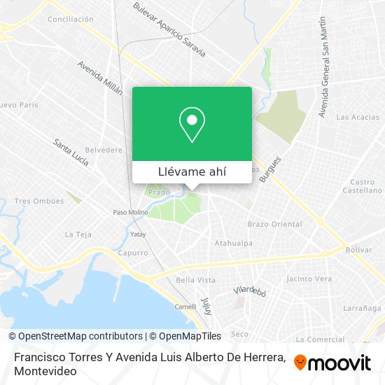 Mapa de Francisco Torres Y Avenida Luis Alberto De Herrera