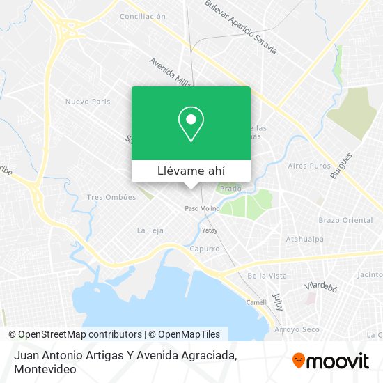 Mapa de Juan Antonio Artigas Y Avenida Agraciada