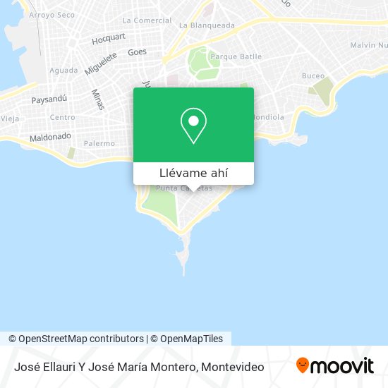 Mapa de José Ellauri Y José María Montero