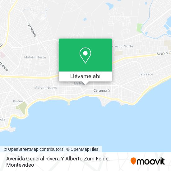 Mapa de Avenida General Rivera Y Alberto Zum Felde