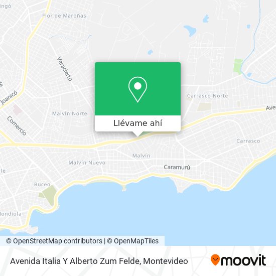 Mapa de Avenida Italia Y Alberto Zum Felde