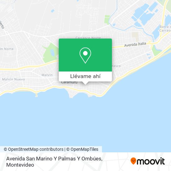 Mapa de Avenida San Marino Y Palmas Y Ombúes