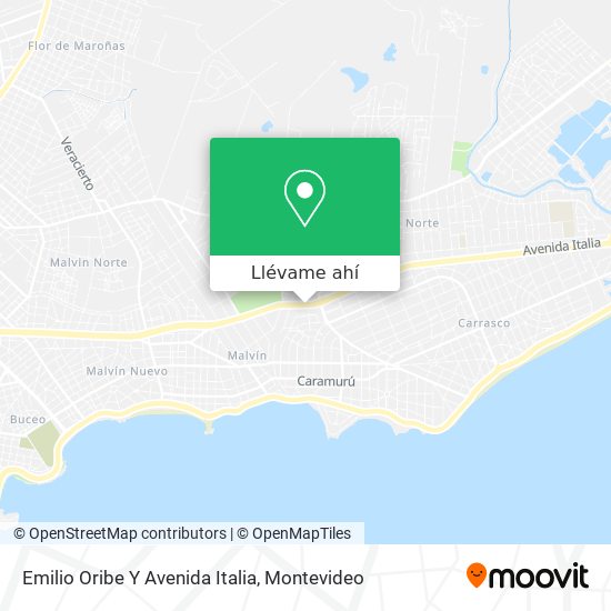 Mapa de Emilio Oribe Y Avenida Italia