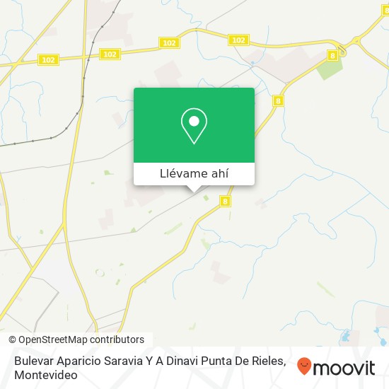 Mapa de Bulevar Aparicio Saravia Y A Dinavi Punta De Rieles
