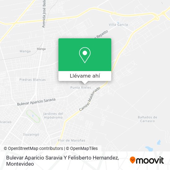 Mapa de Bulevar Aparicio Saravia Y Felisberto Hernandez