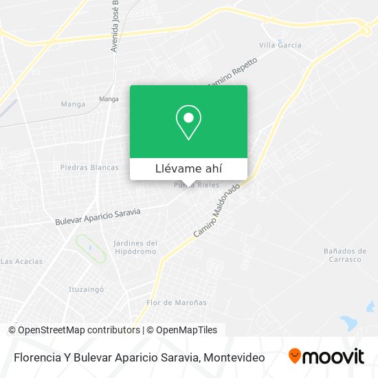 Mapa de Florencia Y Bulevar Aparicio Saravia