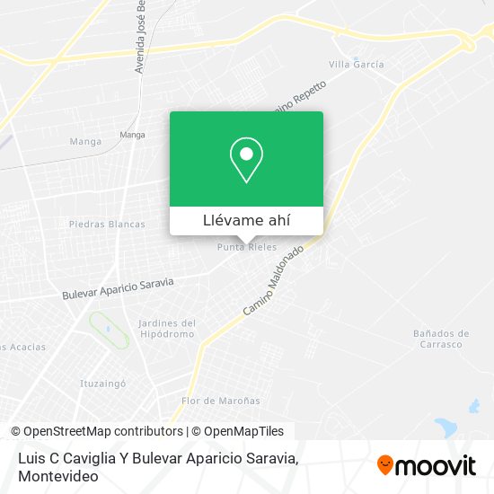 Mapa de Luis C Caviglia Y Bulevar Aparicio Saravia