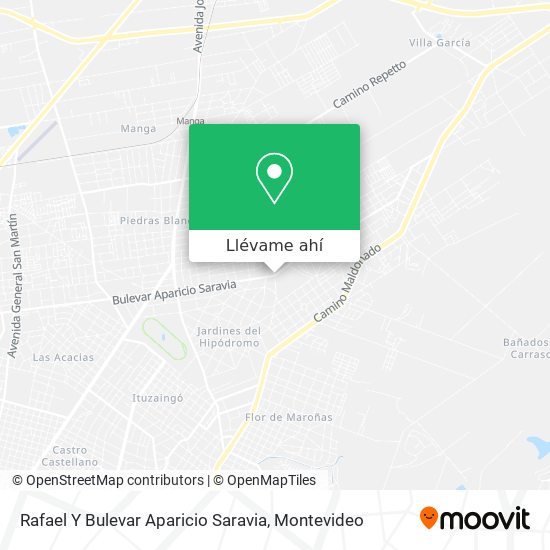 Mapa de Rafael Y Bulevar Aparicio Saravia