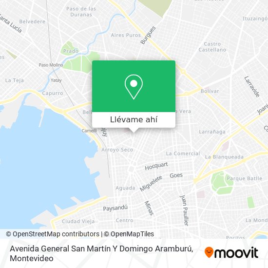 Mapa de Avenida General San Martín Y Domingo Aramburú