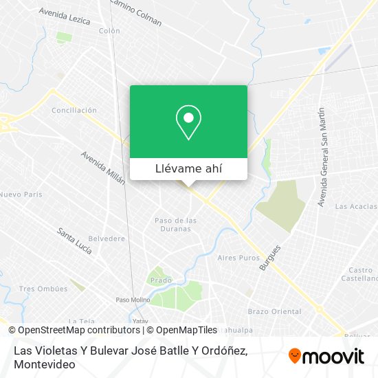 Mapa de Las Violetas Y Bulevar José Batlle Y Ordóñez
