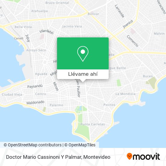Mapa de Doctor Mario Cassinoni Y Palmar