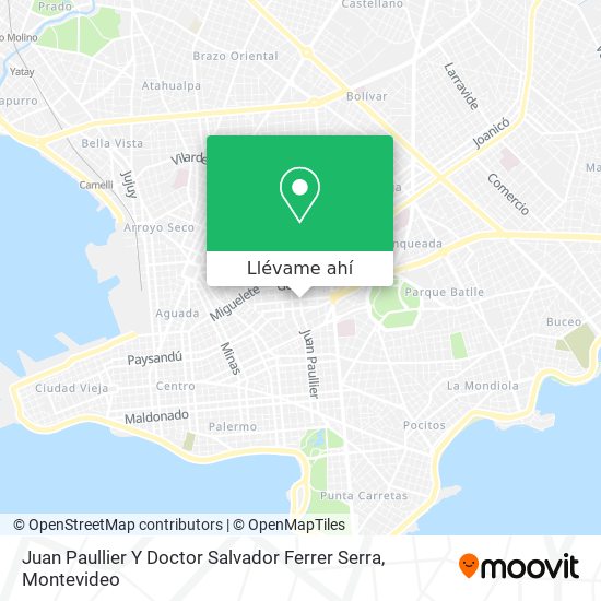 Mapa de Juan Paullier Y Doctor Salvador Ferrer Serra