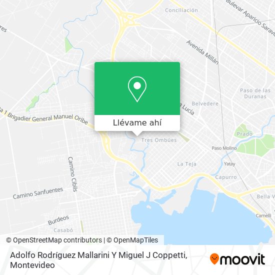 Mapa de Adolfo Rodríguez Mallarini Y Miguel J Coppetti