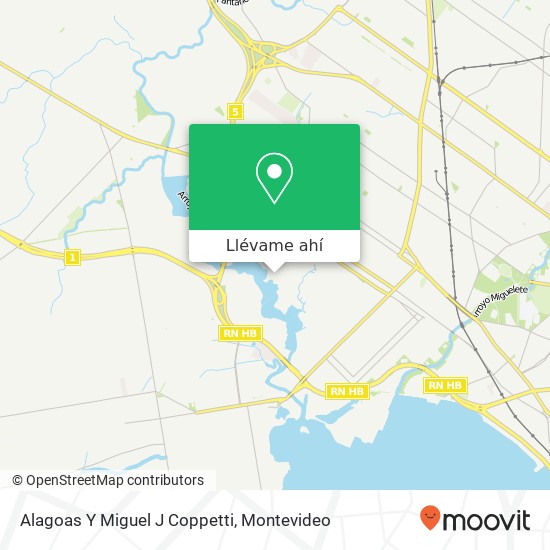 Mapa de Alagoas Y Miguel J Coppetti