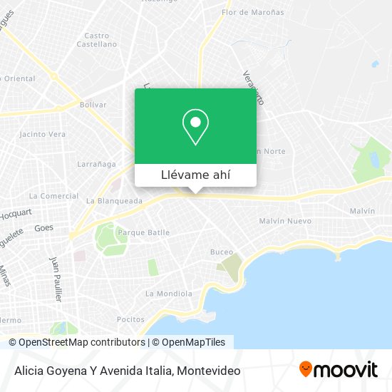 Mapa de Alicia Goyena Y Avenida Italia
