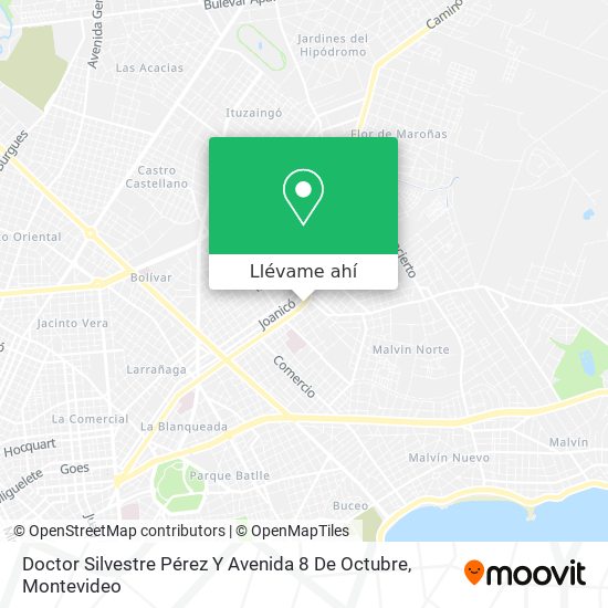Mapa de Doctor Silvestre Pérez Y Avenida 8 De Octubre