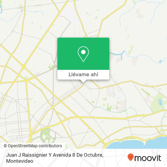 Mapa de Juan J Raissignier Y Avenida 8 De Octubre