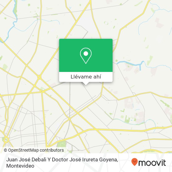 Mapa de Juan José Debali Y Doctor José Irureta Goyena