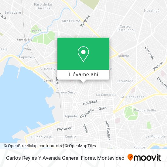 Mapa de Carlos Reyles Y Avenida General Flores