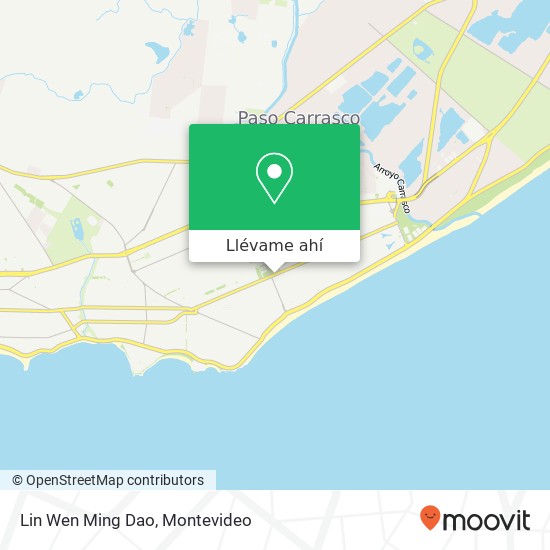 Mapa de Lin Wen Ming Dao, Avenida General Fructuoso Rivera Carrasco, Montevideo, 11500