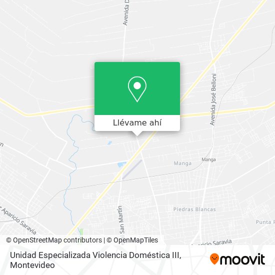 Mapa de Unidad Especializada Violencia Doméstica III