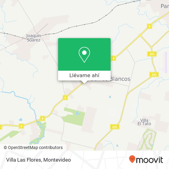 Mapa de Villa Las Flores