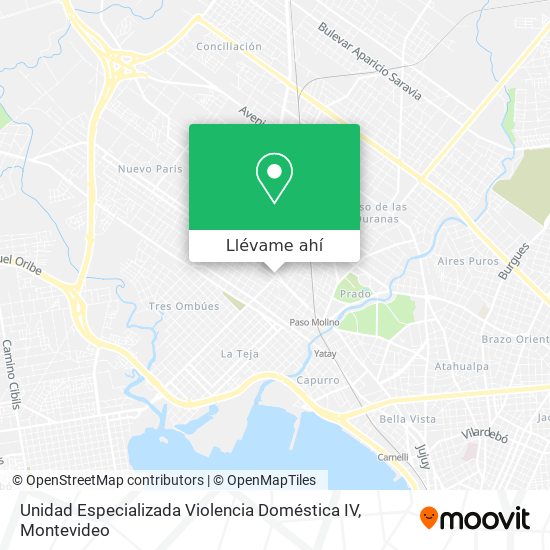 Mapa de Unidad Especializada Violencia Doméstica IV