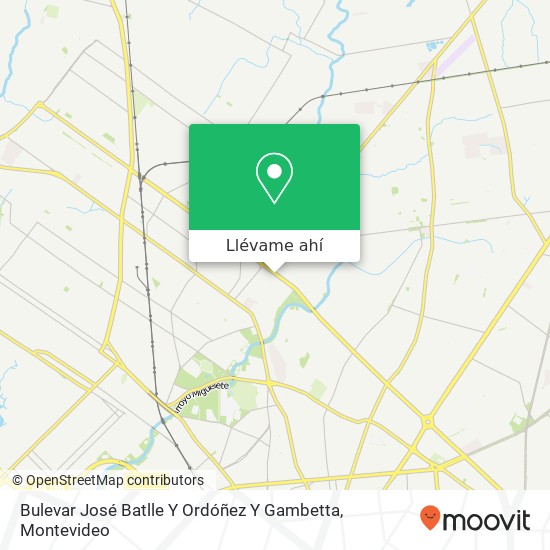 Mapa de Bulevar José Batlle Y Ordóñez Y Gambetta