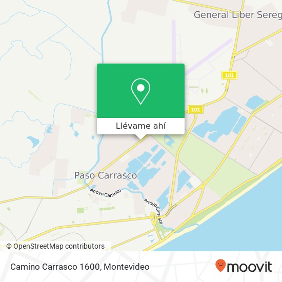 Mapa de Camino Carrasco 1600