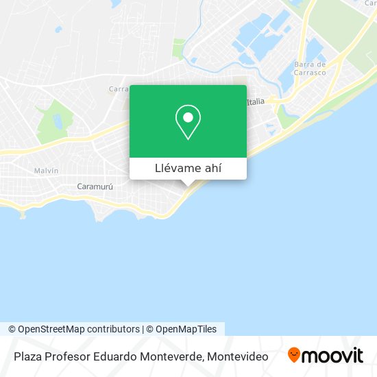 Mapa de Plaza Profesor Eduardo Monteverde