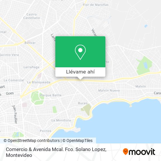 Mapa de Comercio & Avenida Mcal. Fco. Solano Lopez
