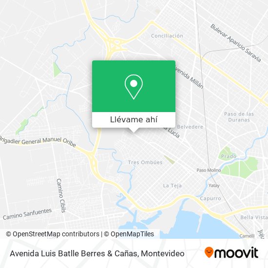 Mapa de Avenida Luis Batlle Berres & Cañas