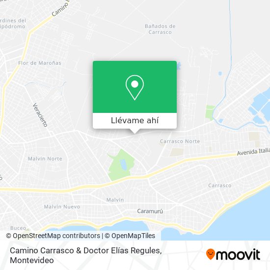 Mapa de Camino Carrasco & Doctor Elías Regules