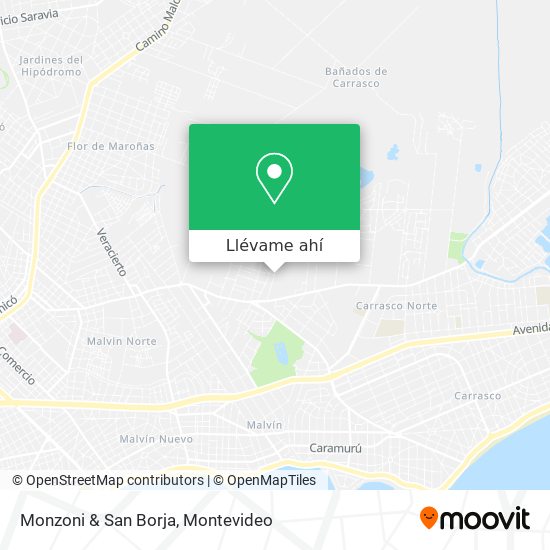 Mapa de Monzoni & San Borja