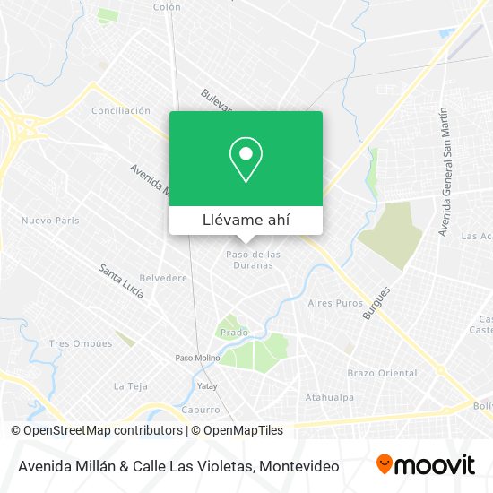 Mapa de Avenida Millán & Calle Las Violetas