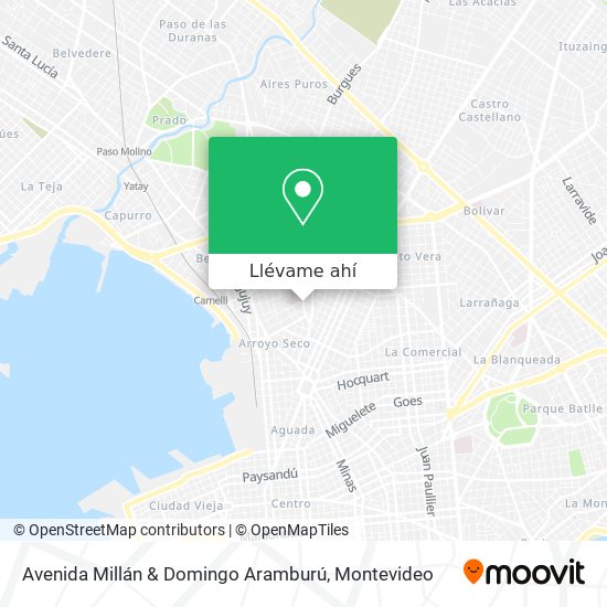 Mapa de Avenida Millán & Domingo Aramburú
