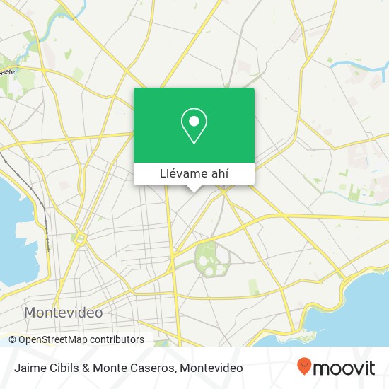 Mapa de Jaime Cibils & Monte Caseros
