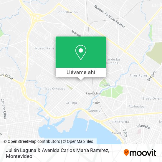 Mapa de Julián Laguna & Avenida Carlos María Ramírez