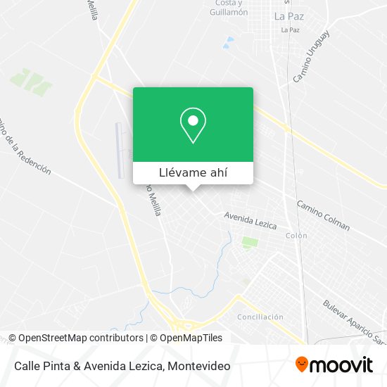 Mapa de Calle Pinta & Avenida Lezica