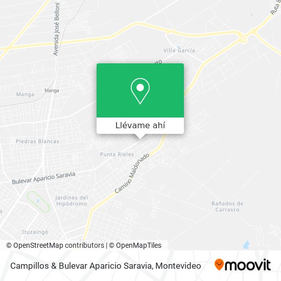 Mapa de Campillos & Bulevar Aparicio Saravia