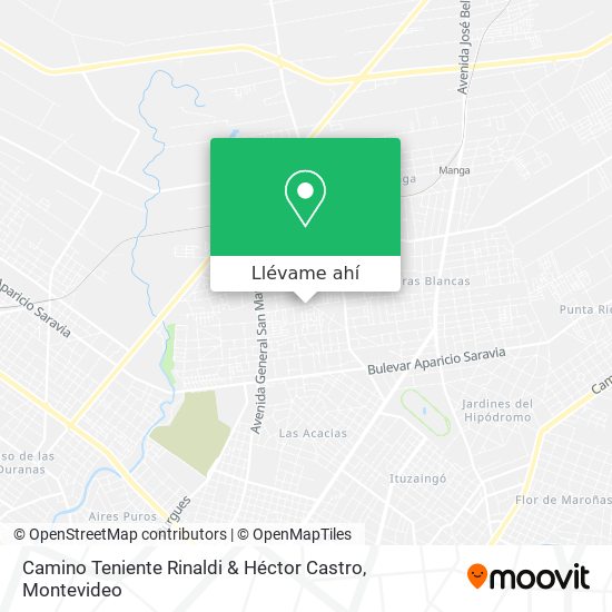 Mapa de Camino Teniente Rinaldi & Héctor Castro
