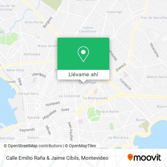 Mapa de Calle Emilio Raña & Jaime Cibils