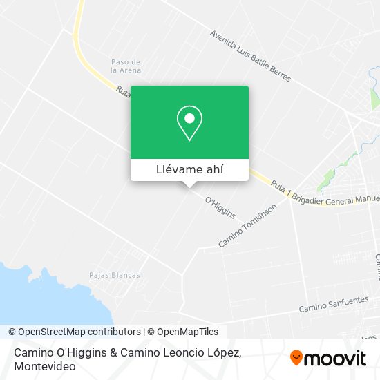 Mapa de Camino O'Higgins & Camino Leoncio López