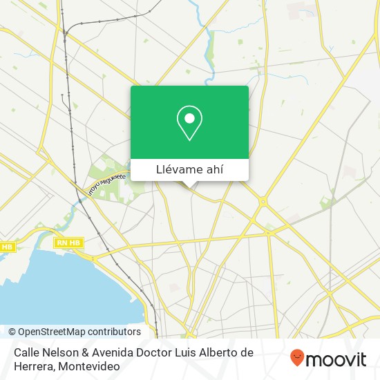 Mapa de Calle Nelson & Avenida Doctor Luis Alberto de Herrera
