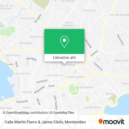 Mapa de Calle Martín Fierro & Jaime Cibils