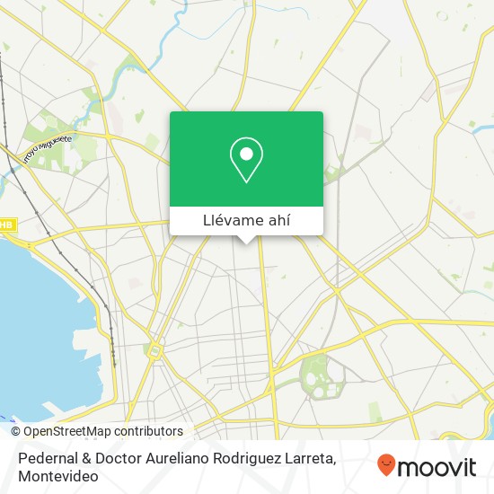 Mapa de Pedernal & Doctor Aureliano Rodriguez Larreta