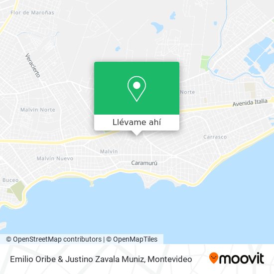 Mapa de Emilio Oribe & Justino Zavala Muniz