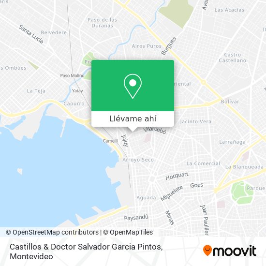 Mapa de Castillos & Doctor Salvador Garcia Pintos