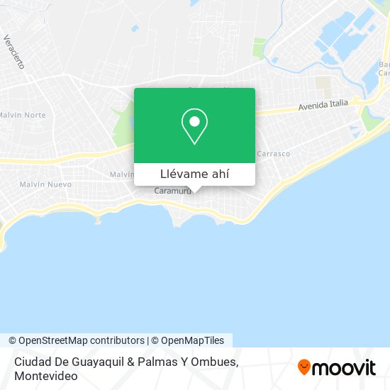 Mapa de Ciudad De Guayaquil & Palmas Y Ombues